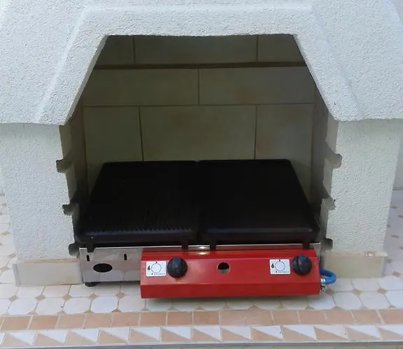 Ruzica ノヴィ・ヴィノドロスキー